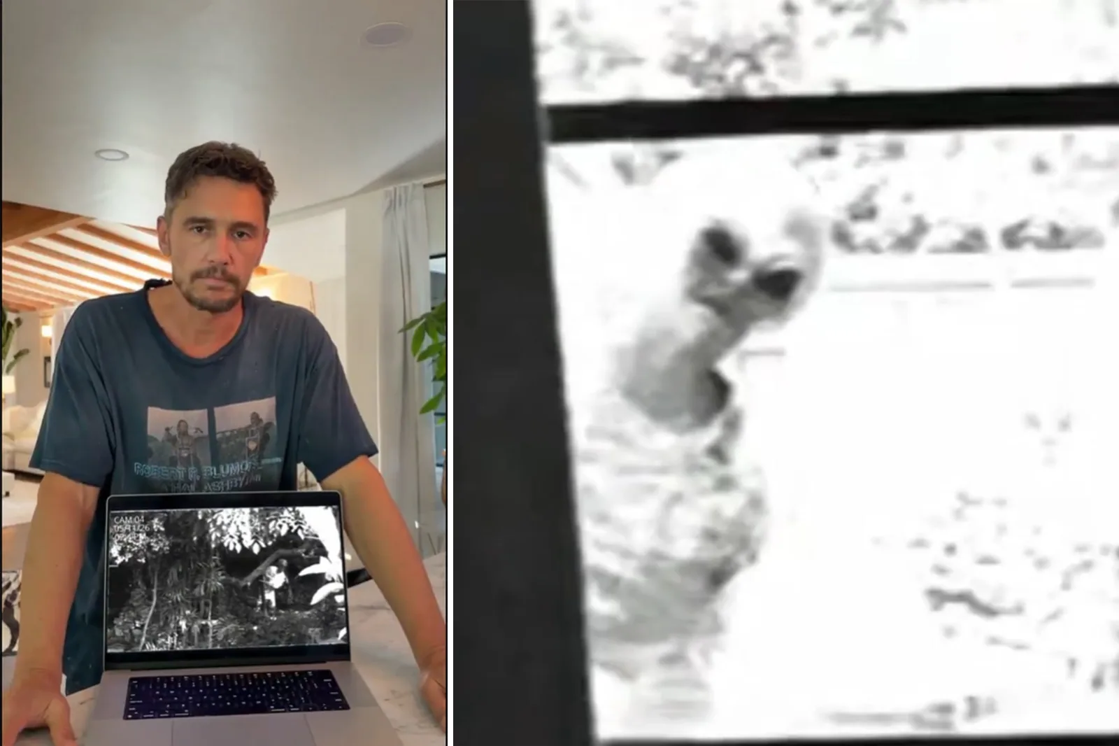 James Franco mirando hacia una cámara de seguridad en su casa con expresión intrigada